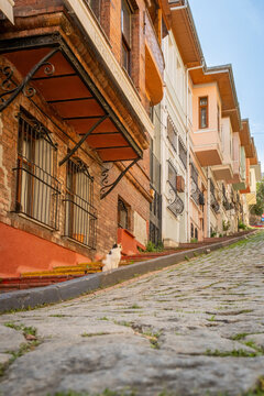 Low angle view of a steep cobblestone street in Balat with pastel houses and a small cat near colorful stairs, captured in warm daylight in Istanbul, Turkey