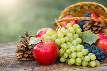 Autumn nature concept. Fall fruit and vegetables on wood.