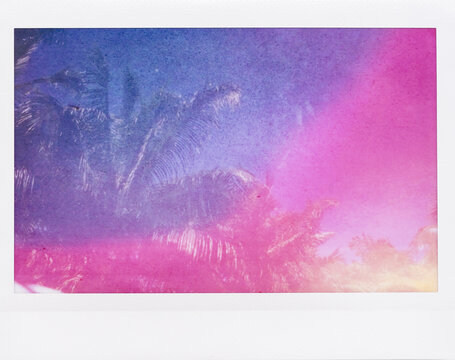 Palm tree Instax Wide with Lightleak