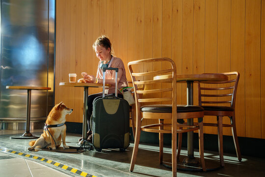 Traveller and Dog Coffee Airport Cafe