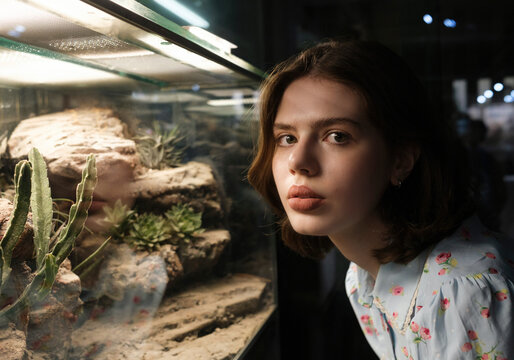 Young girl closely observing reptiles in a terrarium