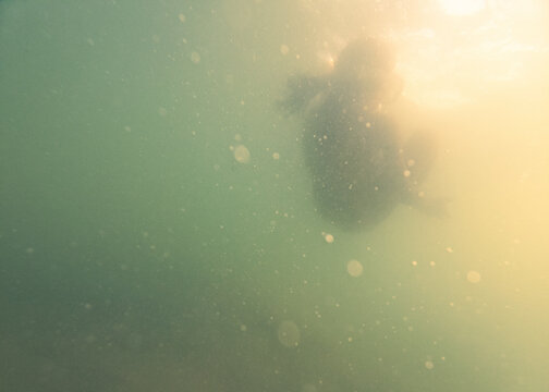 Underawater