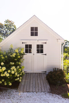 Garden Shed backyard  home hydrangea 