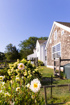 House Luxury property white flower garden 