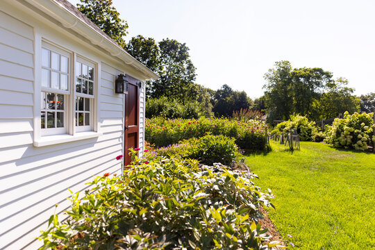 Garden Shed backyard  residence lawn