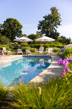 Swimming Pool Luxury Home gardens 