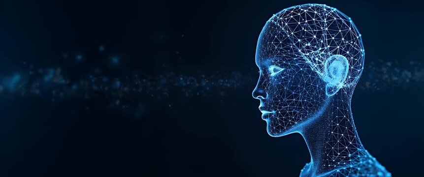 x ray image of human brain