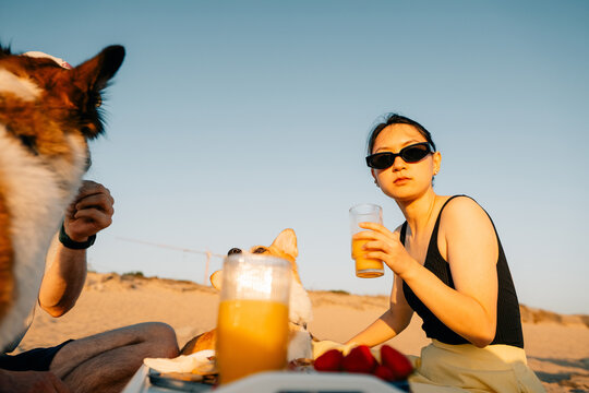 Enjoying Sunset Drinks on the Beach With Dogs and Friends