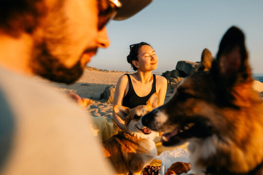 Evening Beach Outing With Friends and Playful Dogs
