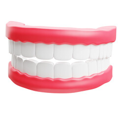 3d Illustration of Healthy Human Teeth Gums Anatomy