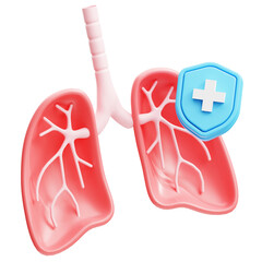 3d Illustration of Healthy Lungs Medical Shield Protection