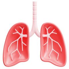 3d Illustration of Human Lungs Anatomy Internal Organ