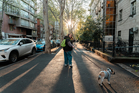 Walk with stubborn dog