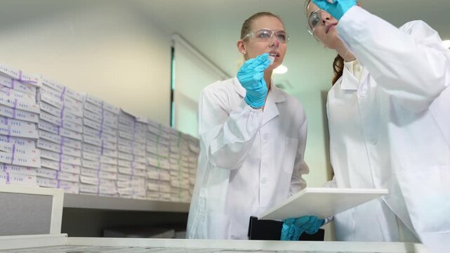 Biotechnology researchers analyzing macromolecular gel electrophoresis data. Scientific personnel evaluating genomic sequencing arrays in advanced clinical laboratory.