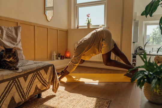 Downward Dog Alignment Check
