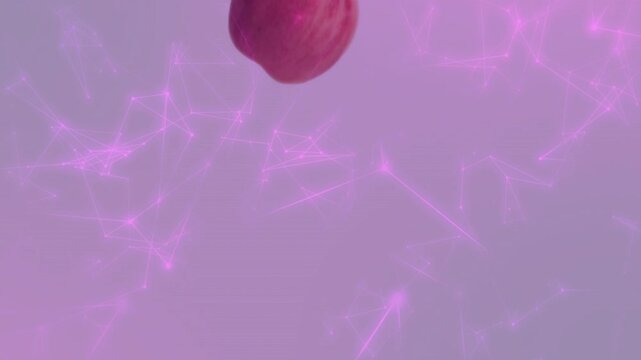 Apple entering top rotating descending pausing mid drifting out showing sheen over purple node web