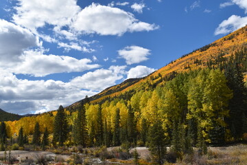 Fall colors and Chalk Creek near Saint Elmo, Colorado