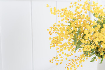 花瓶に飾った黄色いミモザの花　背景素材　コピースペース