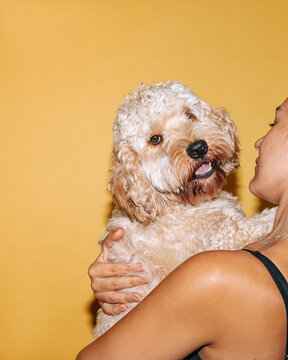 owner and dog 