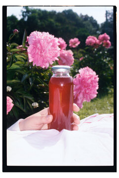 Refreshing beverage held among blooming peonies