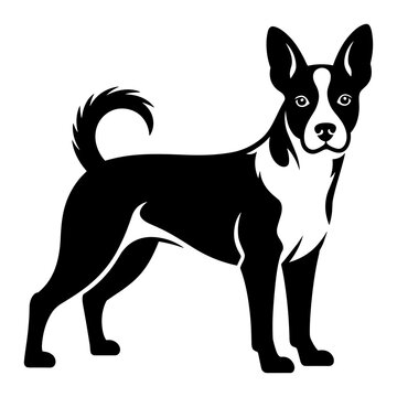 Portuguese Podengo Pequeno