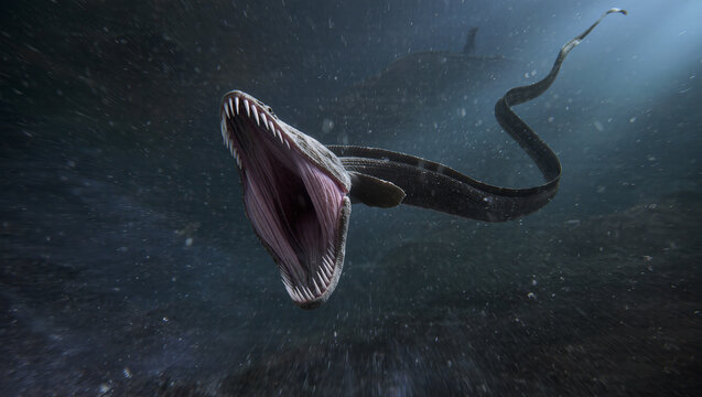 Gulper Eel Opening Its Massive Mouth in the Dark Abyss