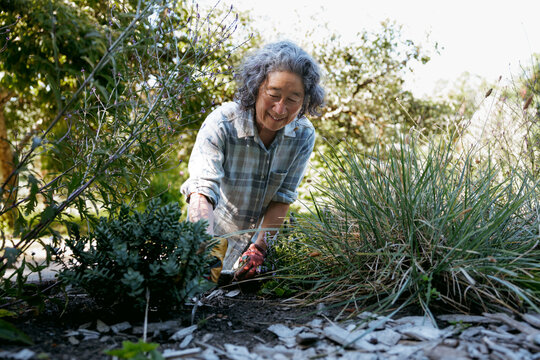 Older woman gardening outdoors on a sunny day in a natural setting