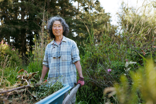 A gardener carrying organic compost in a wheelbarrow in a lush area