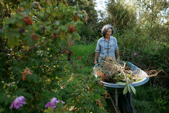 Woman working outdoors with a wheelbarrow in a green garden setting
