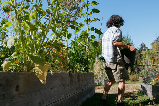 Person gardening in a raised bed on a sunny day