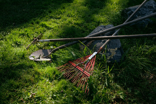 Assorted gardening tools on vibrant green grass under dappled sun