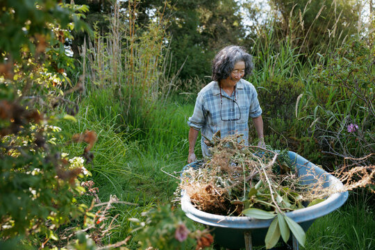 Elderly woman tending garden with wheelbarrow in a sunny outdoor