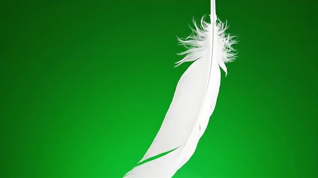 White Feather Floating Against Green Gradient Background.
