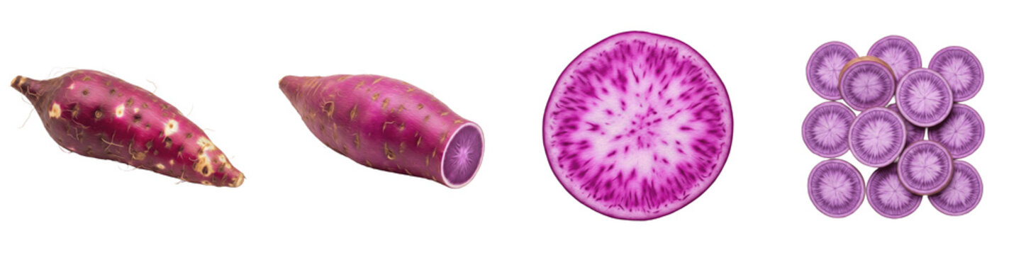 Purple Sweet Potato Set Isolated on White Background Including Whole Yam and Slices with Vibrant Cross Sections for Healthy Food and Organic Vegetable Concept