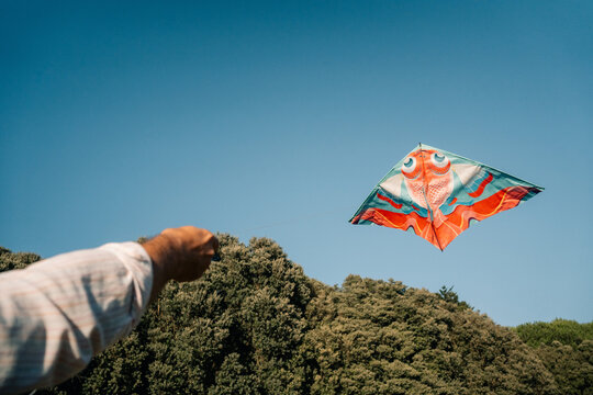 Colorful Kite Flying in a Clear Blue Sky Above Green Trees