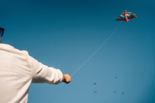 Colorful Kite Flying Against a Clear Blue Sky With Seagulls