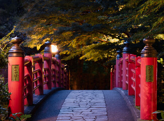 修善寺温泉街の夜景