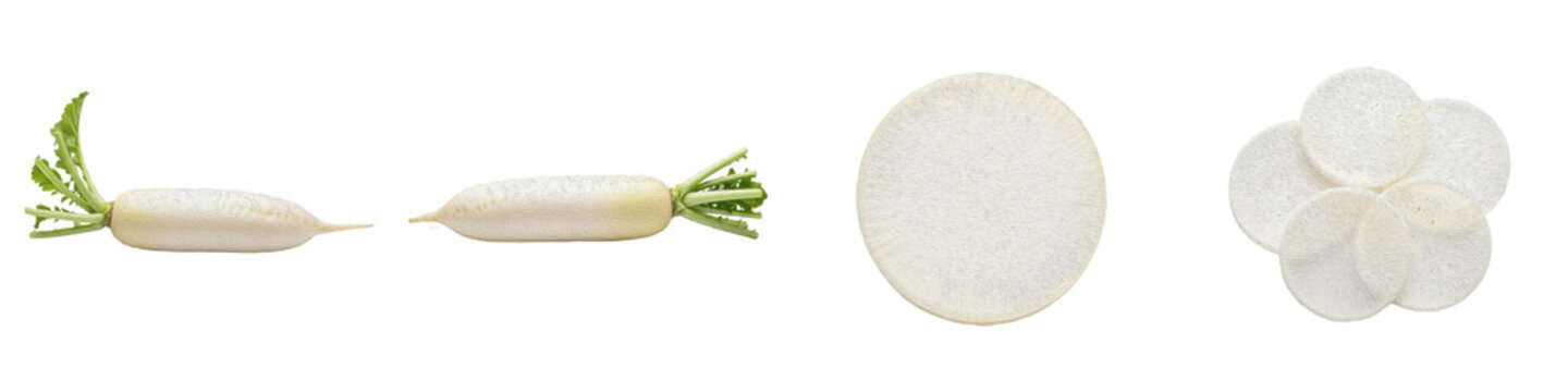 Fresh White Daikon Radish Set Isolated on White Background Collection of Whole Roots Cross Section Rounds and Sliced Petals for Healthy Food Concept