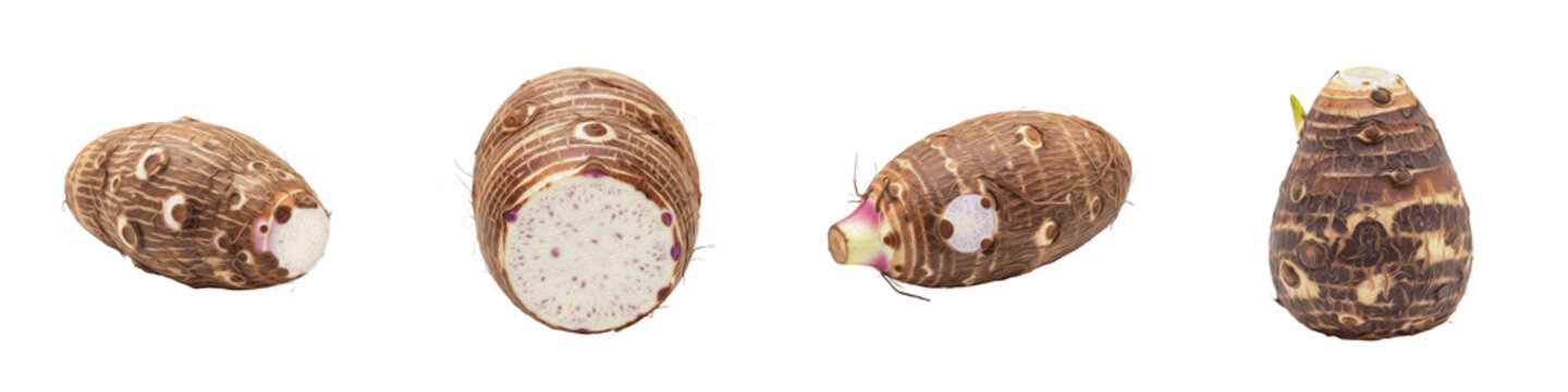 Fresh Raw Taro Root Set Isolated on White Background Collection of Whole Eddoe Tubers and Sliced Cross Section for Healthy Tropical Food Design