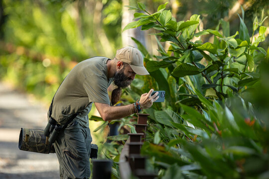 Content creator taking photos with smartphone in the jungle