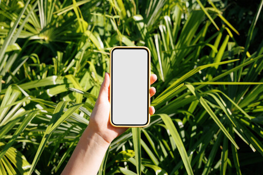 Mockup Hand Holding Smartphone with Blank Screen Against Green Leaves