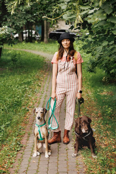 Portrait of a dog walker with two dogs on a stone path.