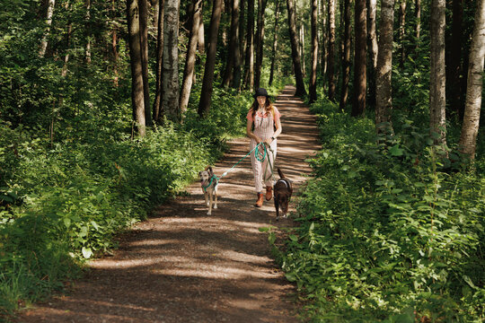Front view dogs and dog walker in the urban forest .