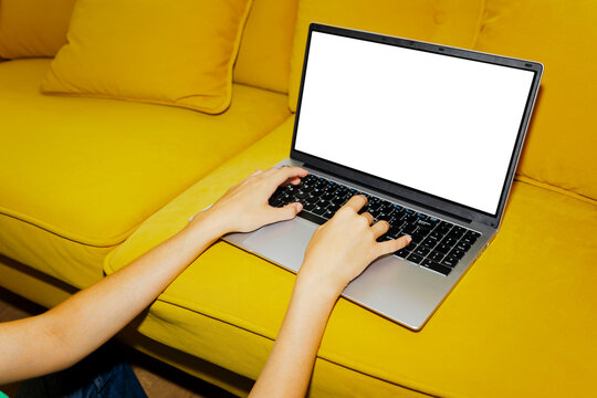 Freelancer working remotely from home on yellow sofa