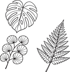 Fototapeta premium set of black leaves