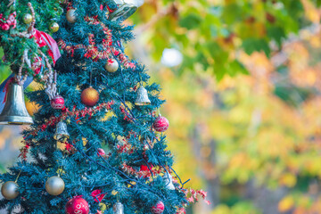 クリスマスツリーのある風景