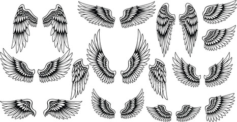 Collection of stylized wings illustrations, detailed feather vector art for fantasy, tattoo, angelic, bird design, creative graphic content © Hafeza