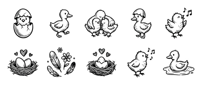Hand-drawn set of cute Easter chicks and ducklings in various poses, including hatching, singing, and cuddling, with nests, eggs, and feathers in a charming doodle sketch style isolated on white