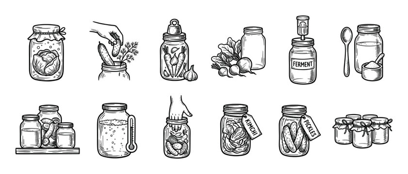 Hand drawn black and white illustration set of fermented foods and the pickling process with jars, vegetables, kimchi, and pickles in a vintage sketch style isolated on white
