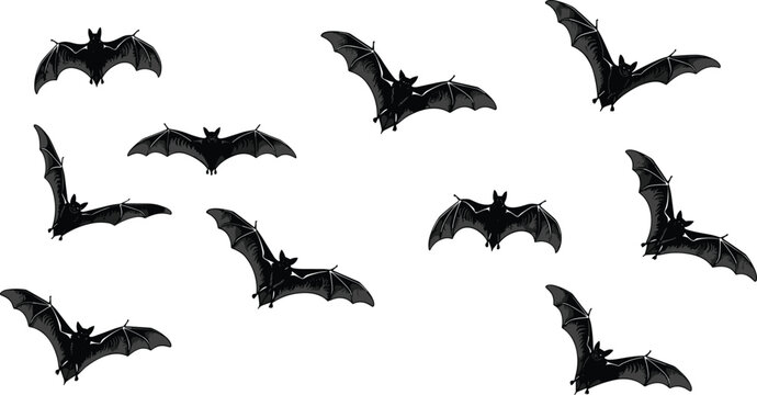Black bat silhouettes set, flying nocturnal animal vector illustrations, spooky halloween icons, colony of bats in flight for graphic design,